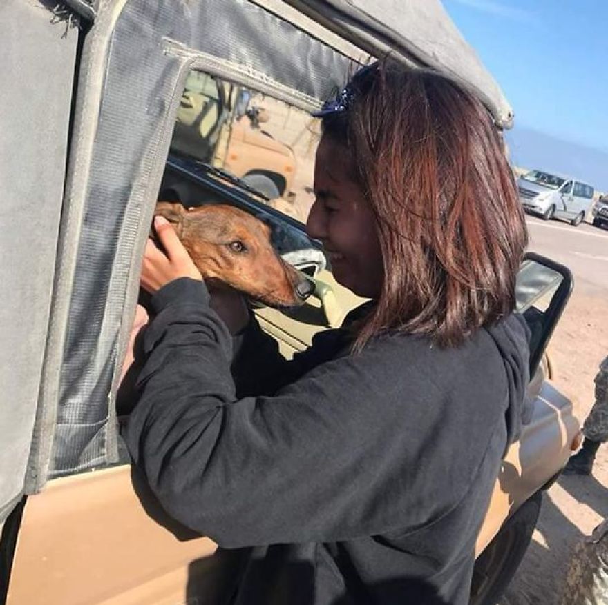 Gaspar; A Dog Survives 6 Days In The Desert After Falling Off The Plane