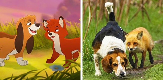 Animals That Are Exact Copies of Our Favorite Animated Movie Characters