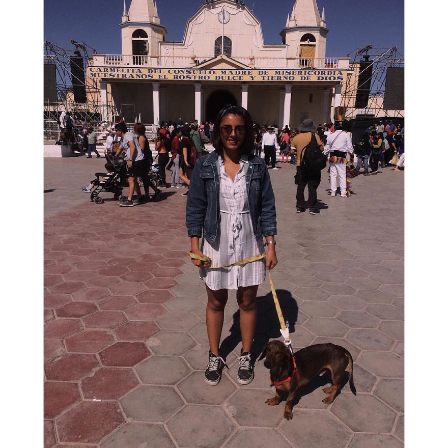 Gaspar; A Dog Survives 6 Days In The Desert After Falling Off The Plane