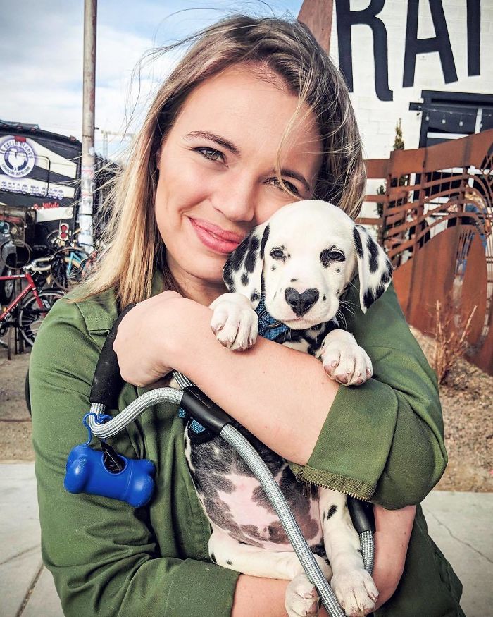 Wiley; The Dalmatian Wears His Heart On His Nose