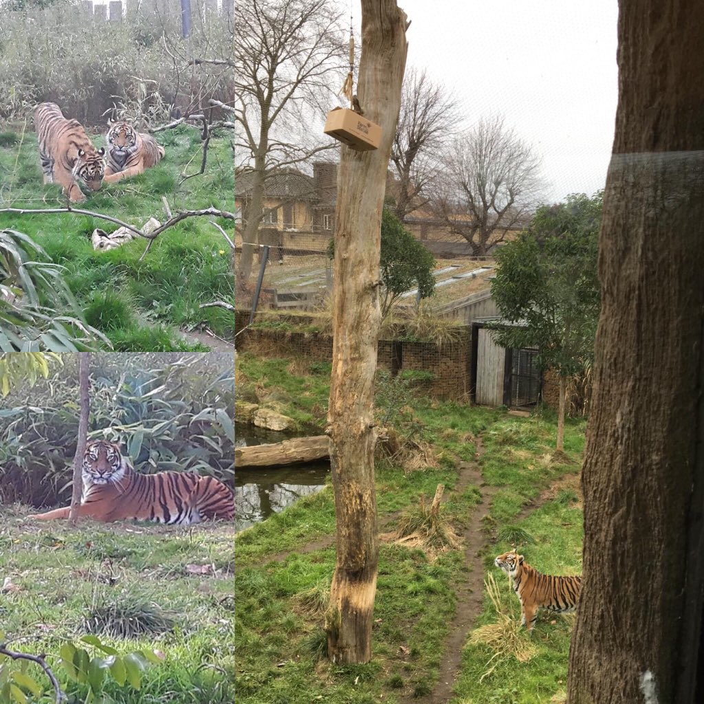 zookeepers