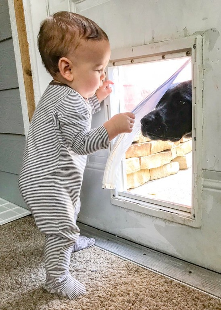 Adorable Photos that Prove Children And Pets Are Inseparable