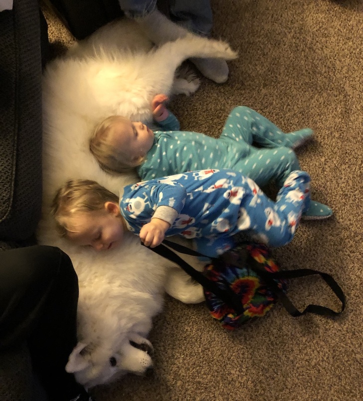 Adorable Photos that Prove Children And Pets Are Inseparable