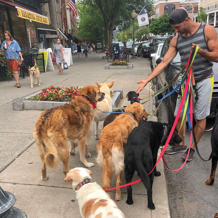 dogs walker