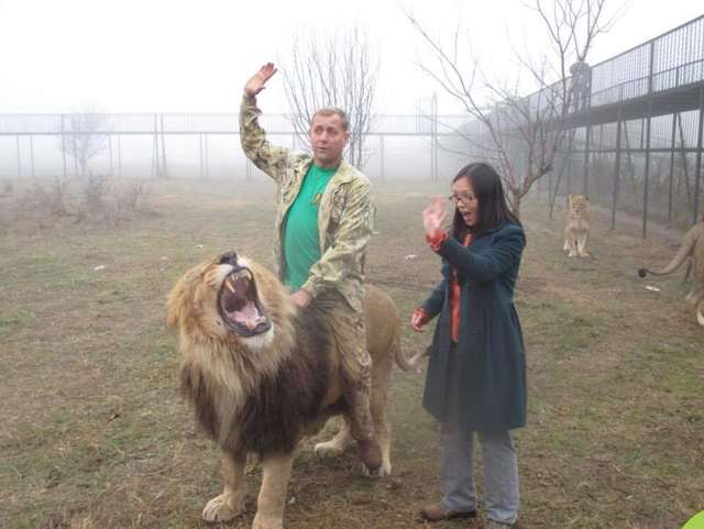 Taigan Safari Park in Crimea Lets Visitors Inside the Lion Enclosure