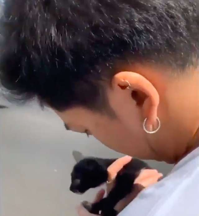 Couple Ignores Oncoming Traffic Just To Save A Tiny Kitten's Life