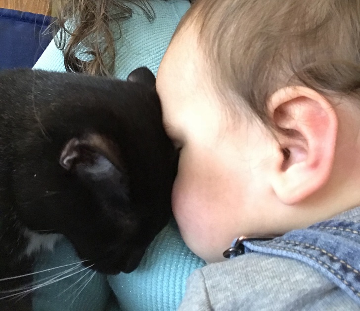 Adorable Photos that Prove Children And Pets Are Inseparable