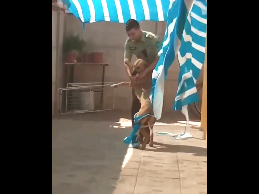 Cop saves a dog entangled in sheet; Thanks her rescuer in the sweetest way