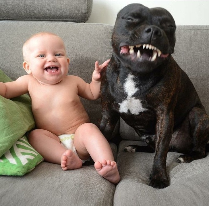 Adorable Photos that Prove Children And Pets Are Inseparable