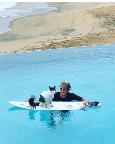 Wacky Felines That Are Purposely Failing at Being Cats