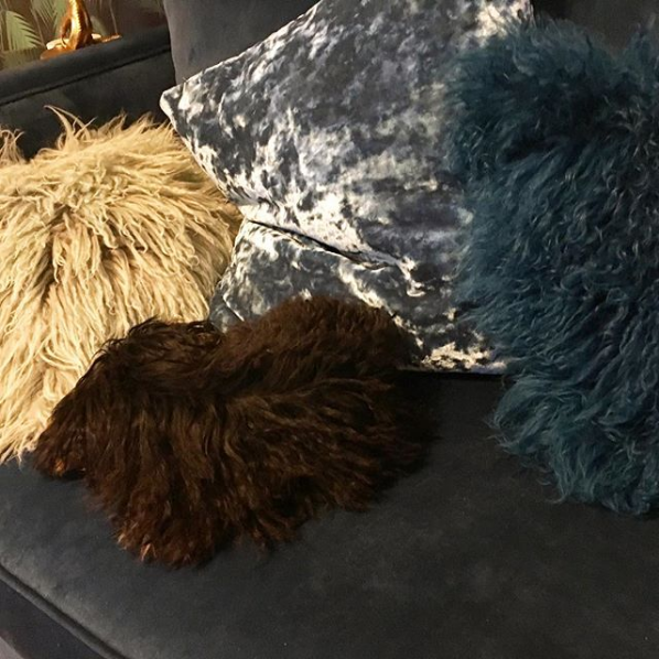 Animals That Are Masters of Camouflage