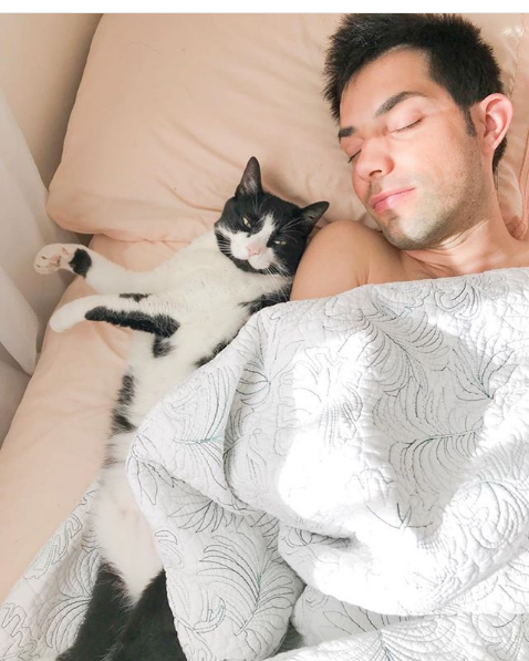 Wacky Felines That Are Purposely Failing at Being Cats