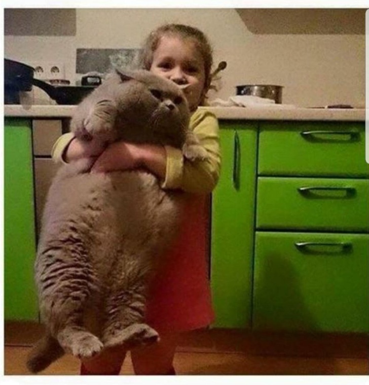 Chubby Animals That Will Shoot Straight In Your Heart