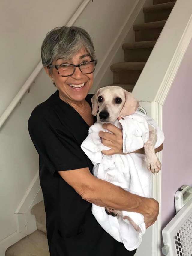 Jordan Knight; Dog Rescued From Puppy Mill Could Only Sleep While Standing Up