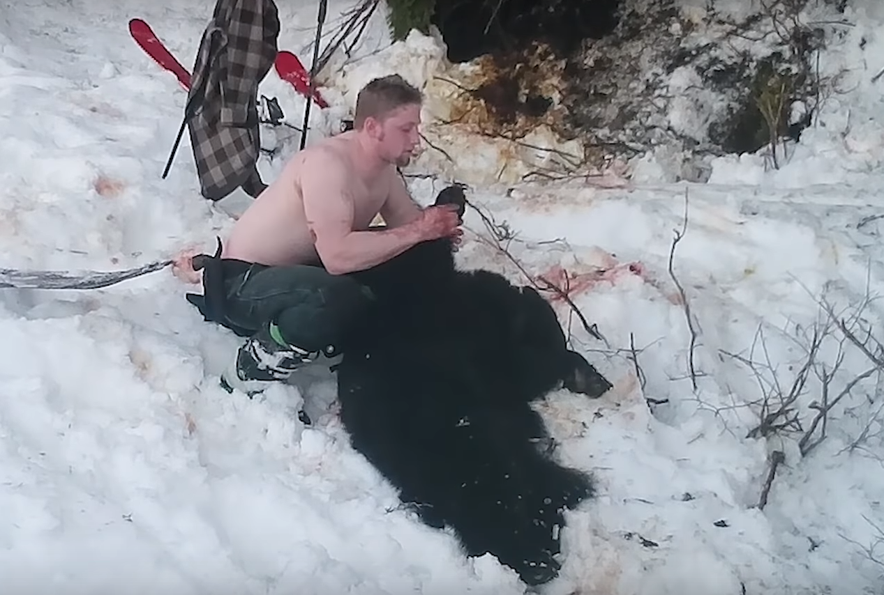 Mother bear and cubs killed illegally by poachers in Alaska