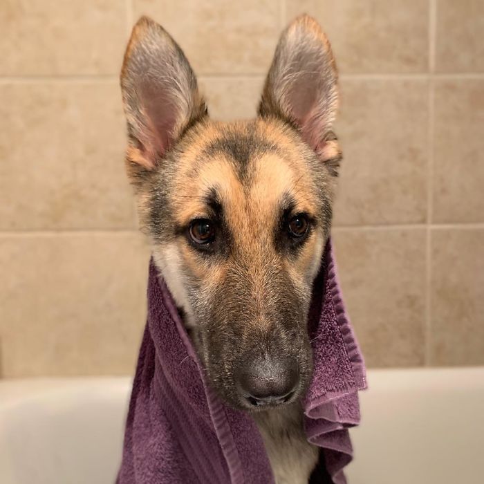 GSD