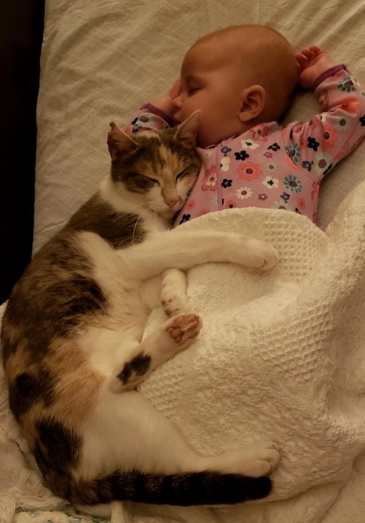 Adorable Photos that Prove Children And Pets Are Inseparable