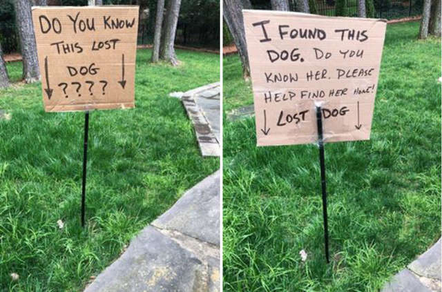 Jason Gasparik; A Man Finds A Lost Dog And Goes Out Of the Way To Reunite It With His Owner