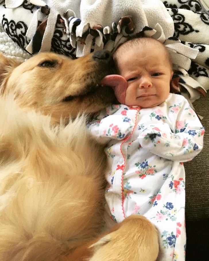 Adorable Photos that Prove Children And Pets Are Inseparable
