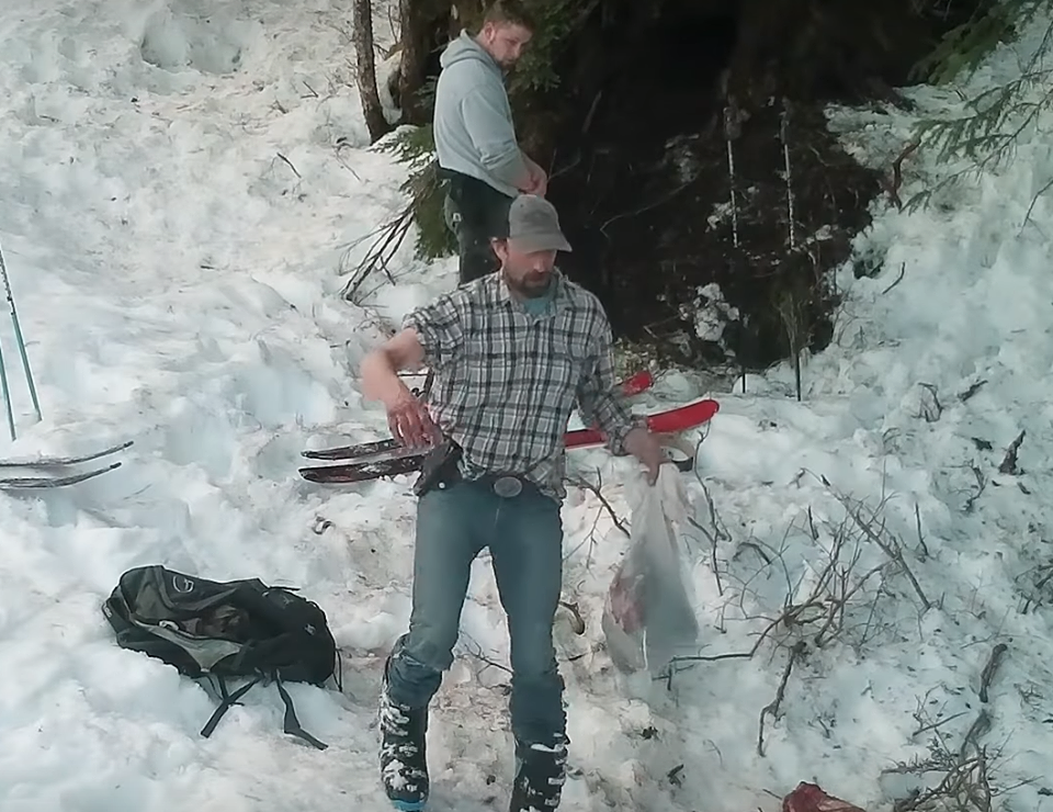 Mother bear and cubs killed illegally by poachers in Alaska