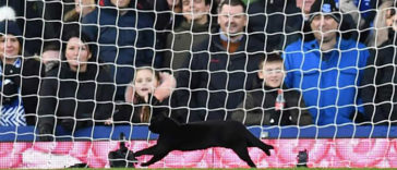 A Black Cat Enters A Soccer Match And Refuses To Leave