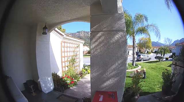 Finnie; the Dog 'Helps' Mom By Stealing Neighbor's Walking Cast