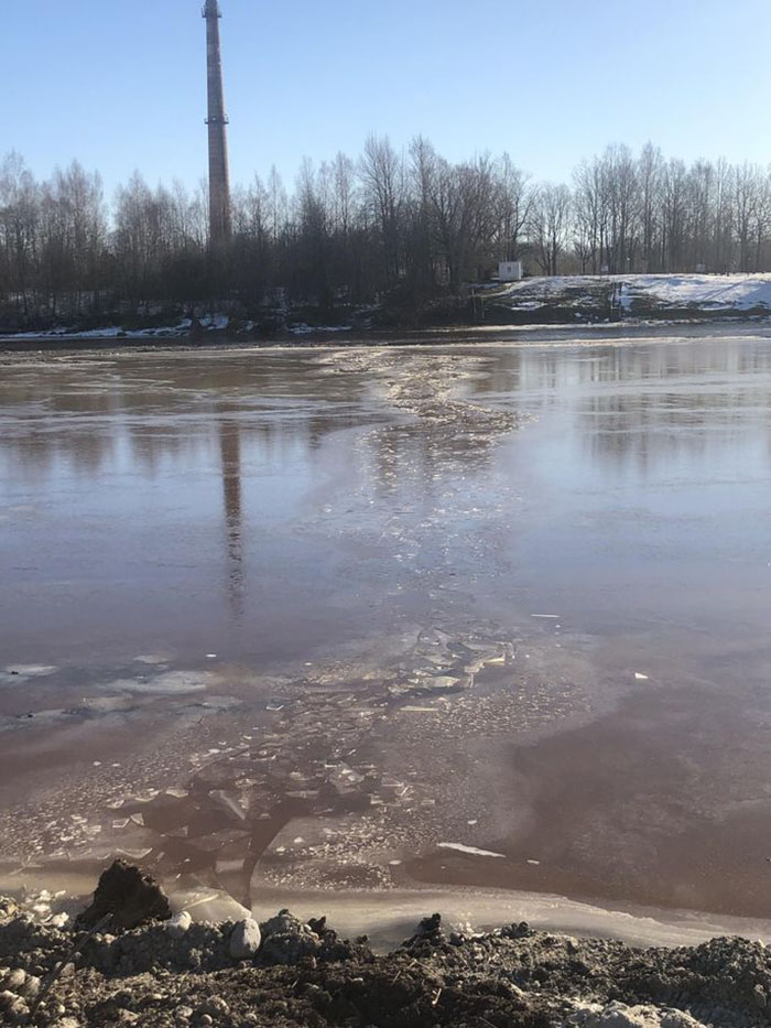 Two kind-hearted construction workers in Estonia Rescued “Dog” From Frozen Lake Brought It To Shelter And Found Out It Was A Wolf