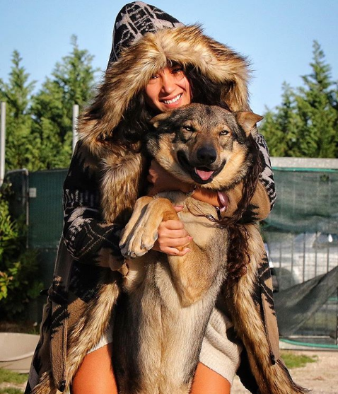 Gorgeous Wolfdogs You Would Want to Hug and Never Let Go