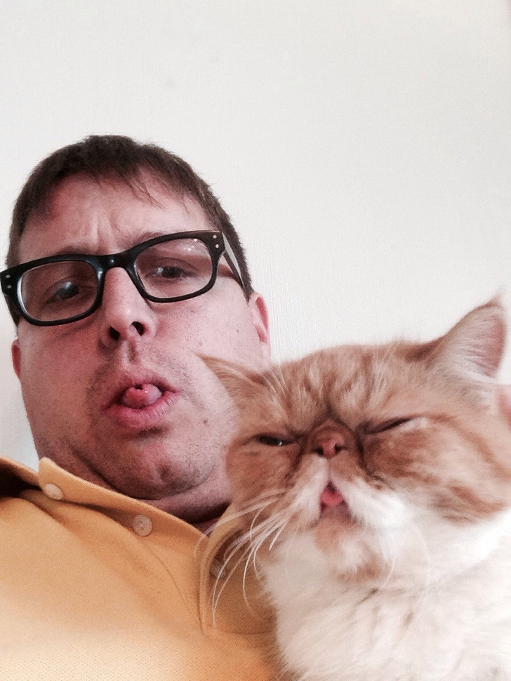 Wacky Felines That Are Purposely Failing at Being Cats