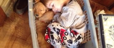 Adorable Photos that Prove Children And Pets Are Inseparable