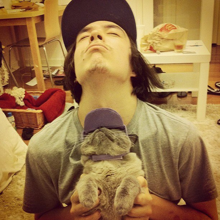 Wacky Felines That Are Purposely Failing at Being Cats