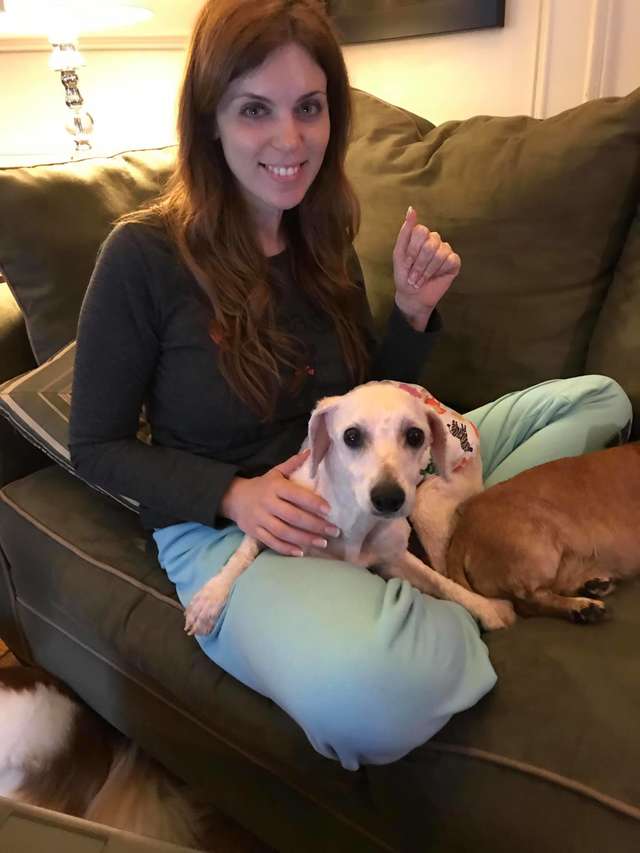 Jordan Knight; Dog Rescued From Puppy Mill Could Only Sleep While Standing Up