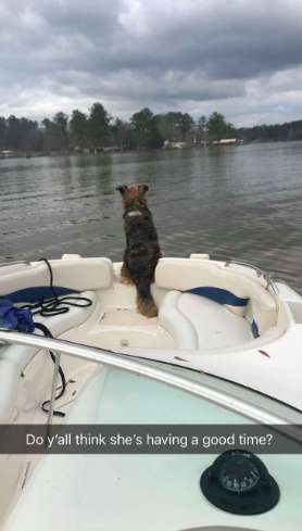 Lost Dog Suddenly Shows up at a Person's Home, So he gave her a Great Day