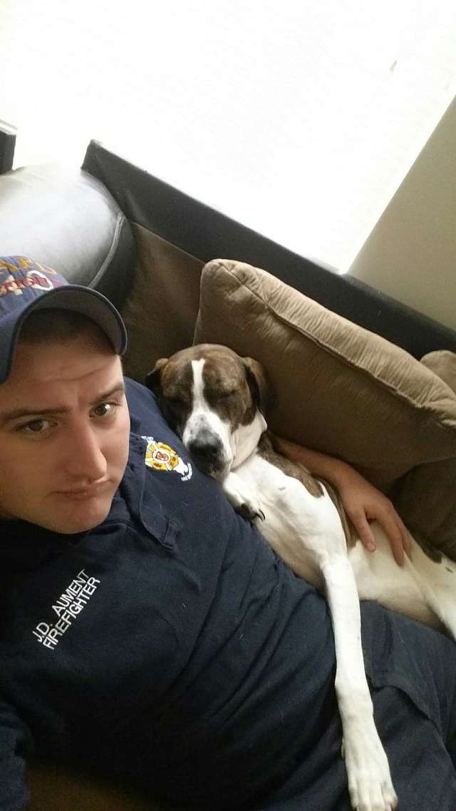 Soldier From Overseas Sends His Dog A Sweetest Gift Back Home