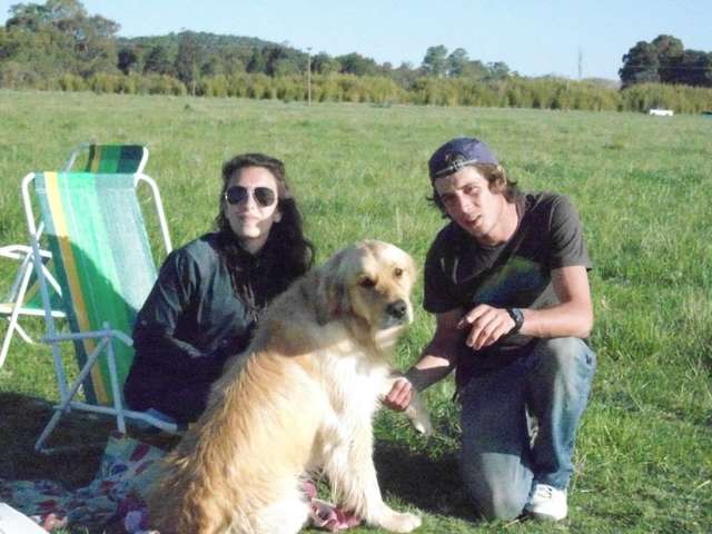 Dog Sees Bird Drowning In the Swimming Pool and Rescues It