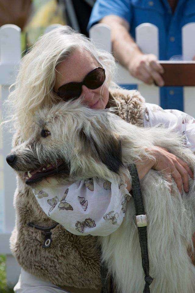 Rescued Goofy Dog Fails The Agility Course In The Most Adorable Fashion