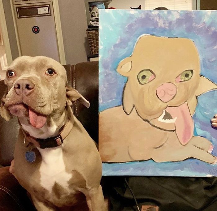 Woman Adopts Stray Dog With 2 Mouths, One Mouth is in place of the ear