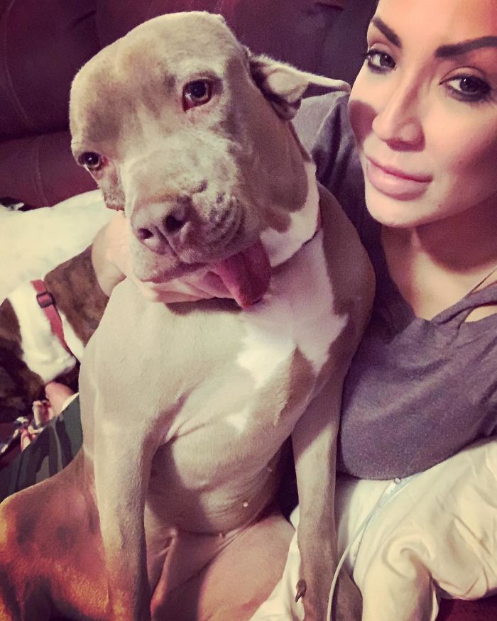 Woman Adopts Stray Dog With 2 Mouths, One Mouth is in place of the ear