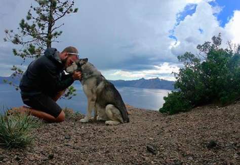 Guy Brings His Husky Friend On Cross-Country Motorcycle Trip