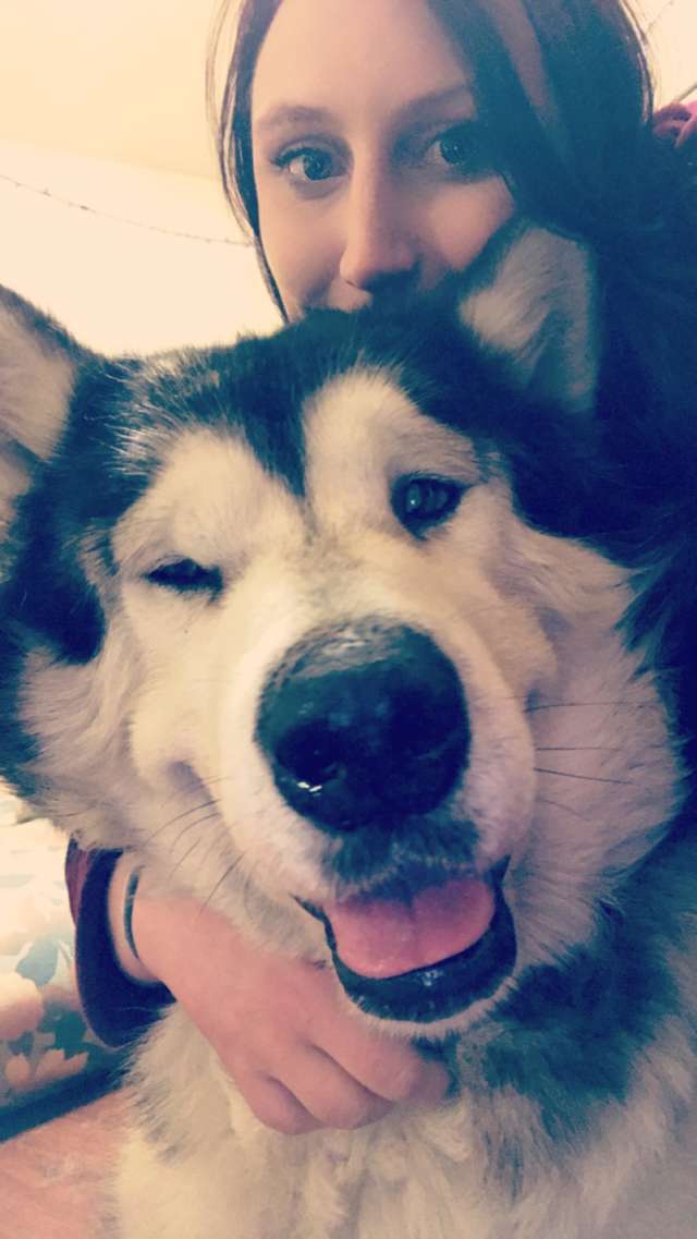 Odin; The Rescue Dog Who Was Kept Chained Up His Entire Life Now Looks Totally Different