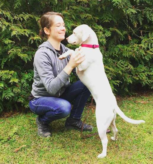 Mom plans a play date for her sad dog with her best friends