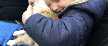 Little Boy Gets The Best Surprise After His Beloved Dog Passes Away