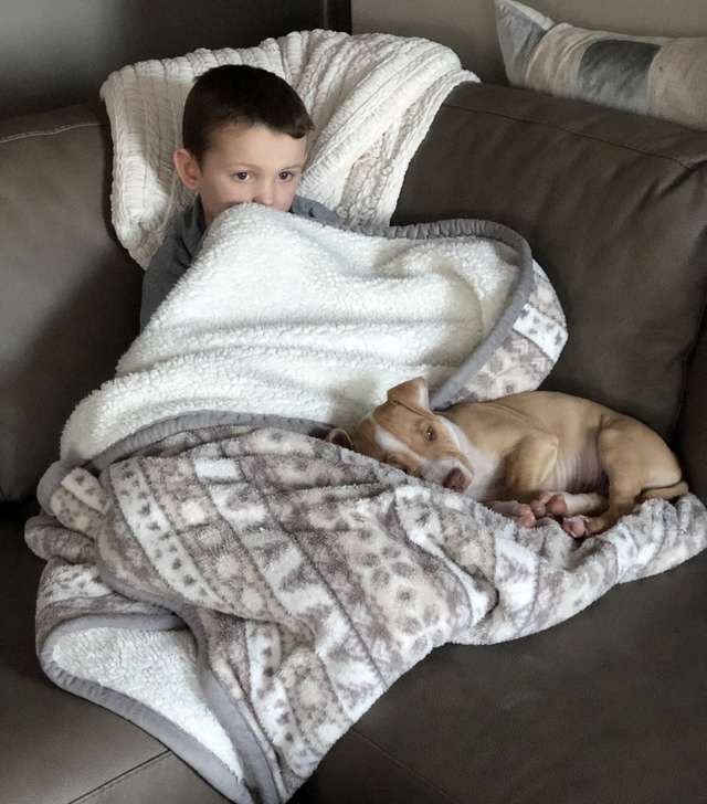 Little Boy Gets The Best Surprise After His Beloved Dog Passes Away