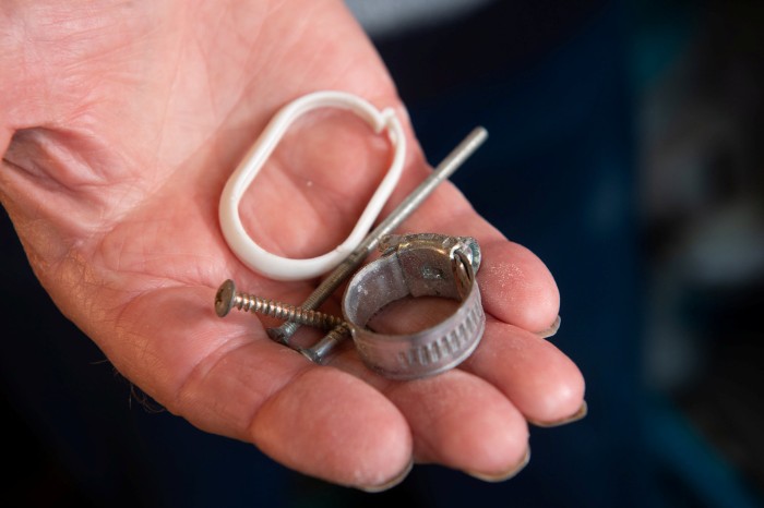 Pensioner Thought He Was Going Mad Until He Catches A Mouse That Kept Cleaning His Shed On A Trail Cam
