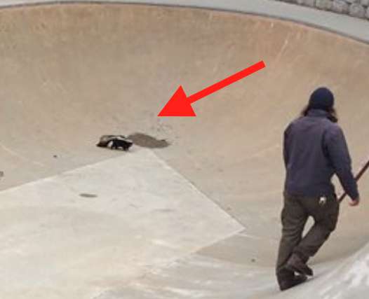 Cops Do the Sweetest Thing As They Help a Trapped and Scared Skunk at a Skate Park