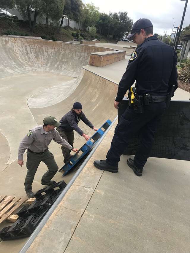 Cops Do the Sweetest Thing As They Help a Trapped and Scared Skunk at a Skate Park
