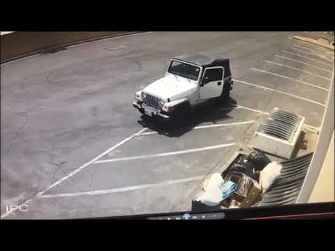 Video of a Woman Suspected of Dumping Puppies in Coachella
