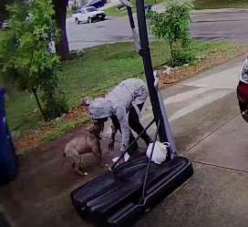 Doorbell Video of A Dog Who Desperately Tries To Follow Back The Woman Who Abandoned Her