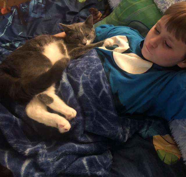 Cat calms down the kid who's having a Sensory Meltdown