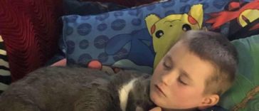 Cat calms down the kid who's having a Sensory Meltdown